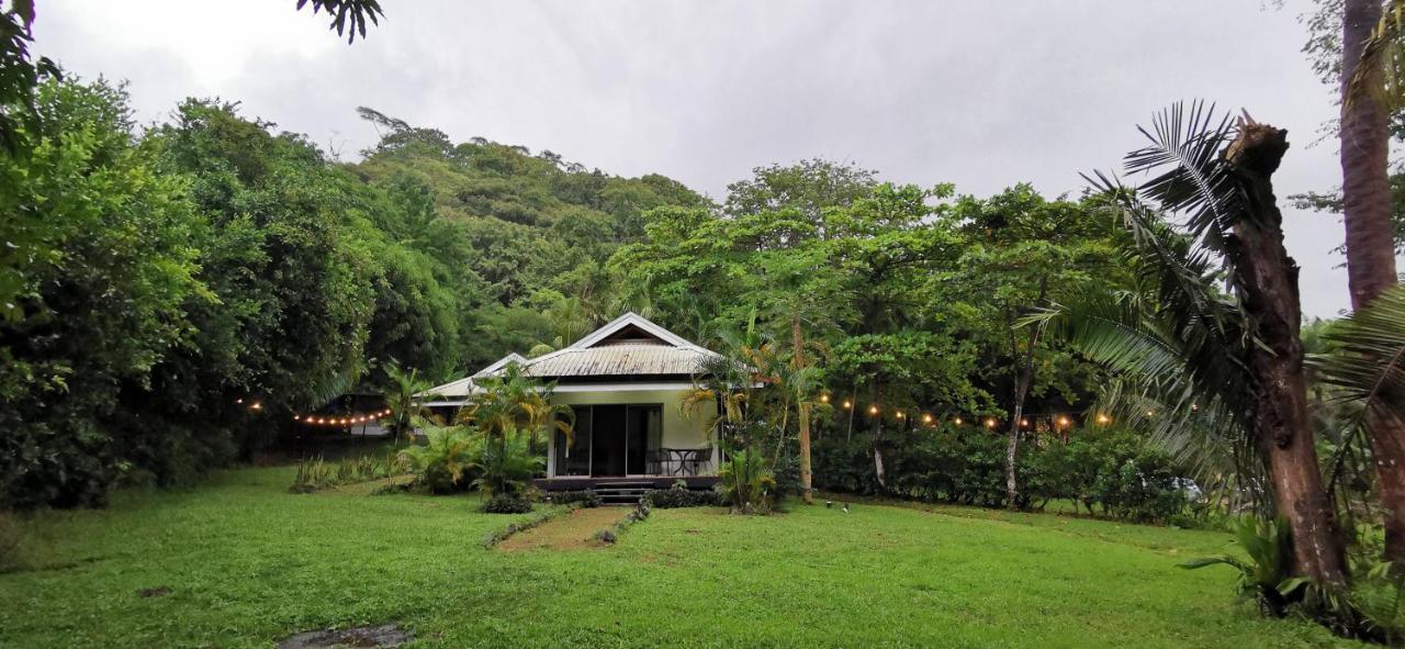 Armadillo Eco Bungalows - Santa Teresa Playa Santa Teresa  Екстер'єр фото