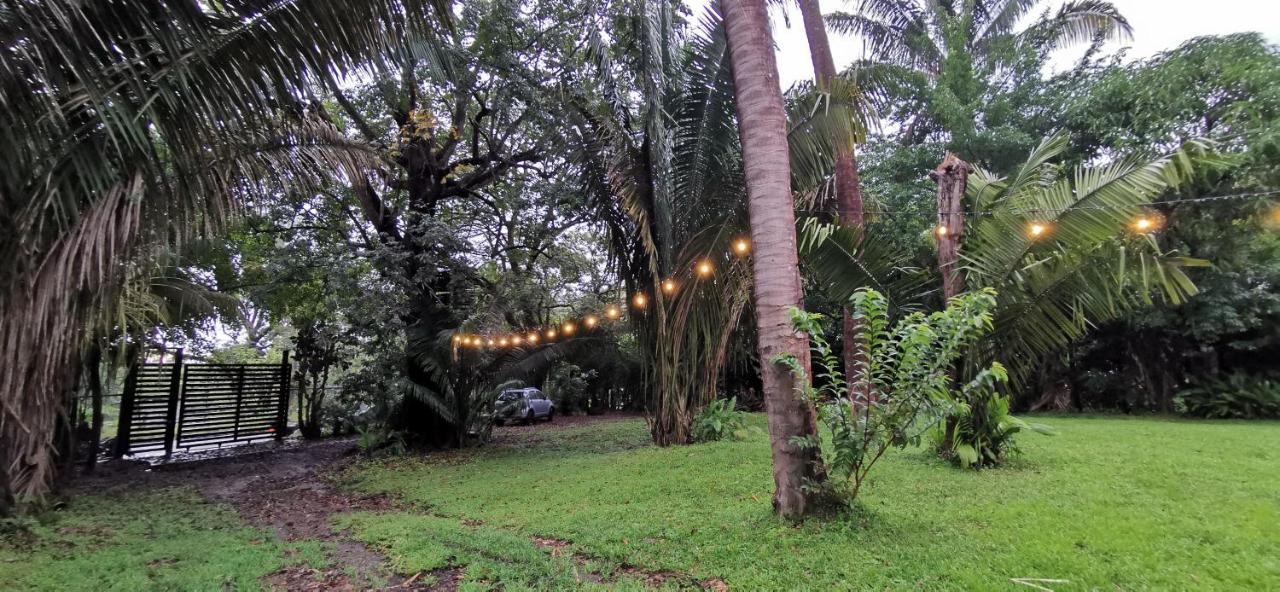 Armadillo Eco Bungalows - Santa Teresa Playa Santa Teresa  Екстер'єр фото