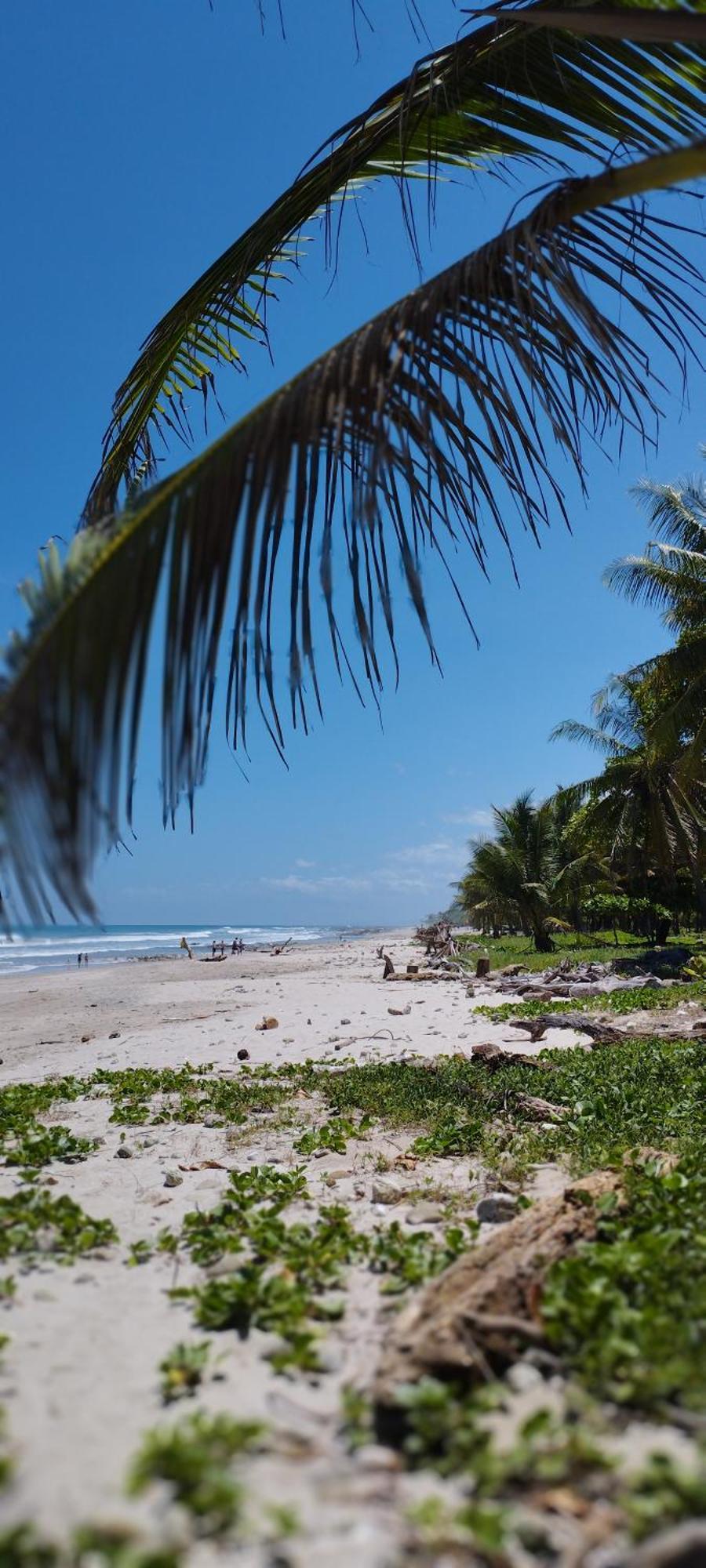 Armadillo Eco Bungalows - Santa Teresa Playa Santa Teresa  Екстер'єр фото
