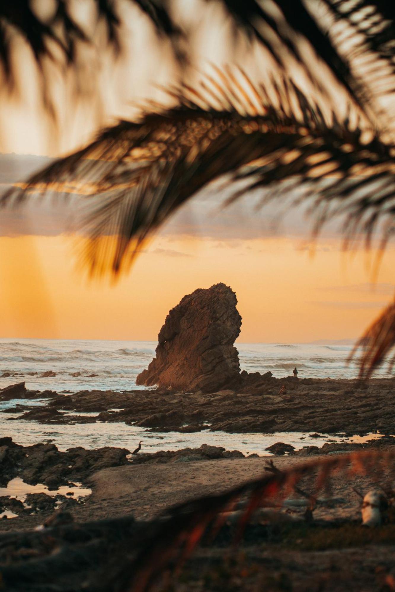 Armadillo Eco Bungalows - Santa Teresa Playa Santa Teresa  Екстер'єр фото